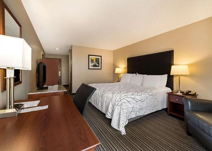 Best Western Park Oasis Inn